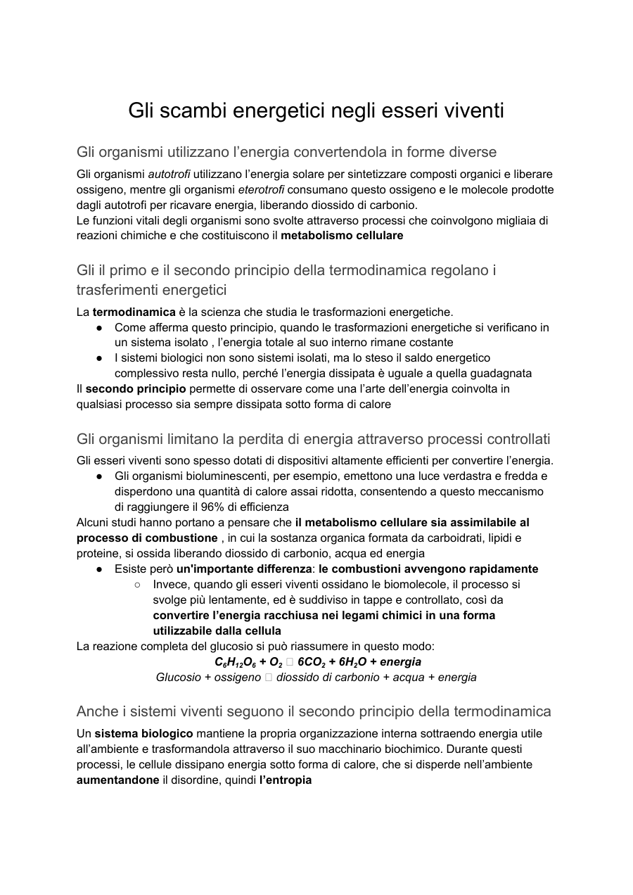 Copertina Bioenergetica e metabolismo cellulare