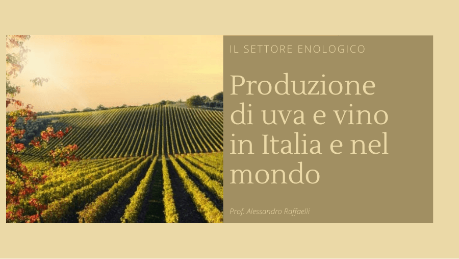 Produzione di uva e vino in Italia e nel mondo