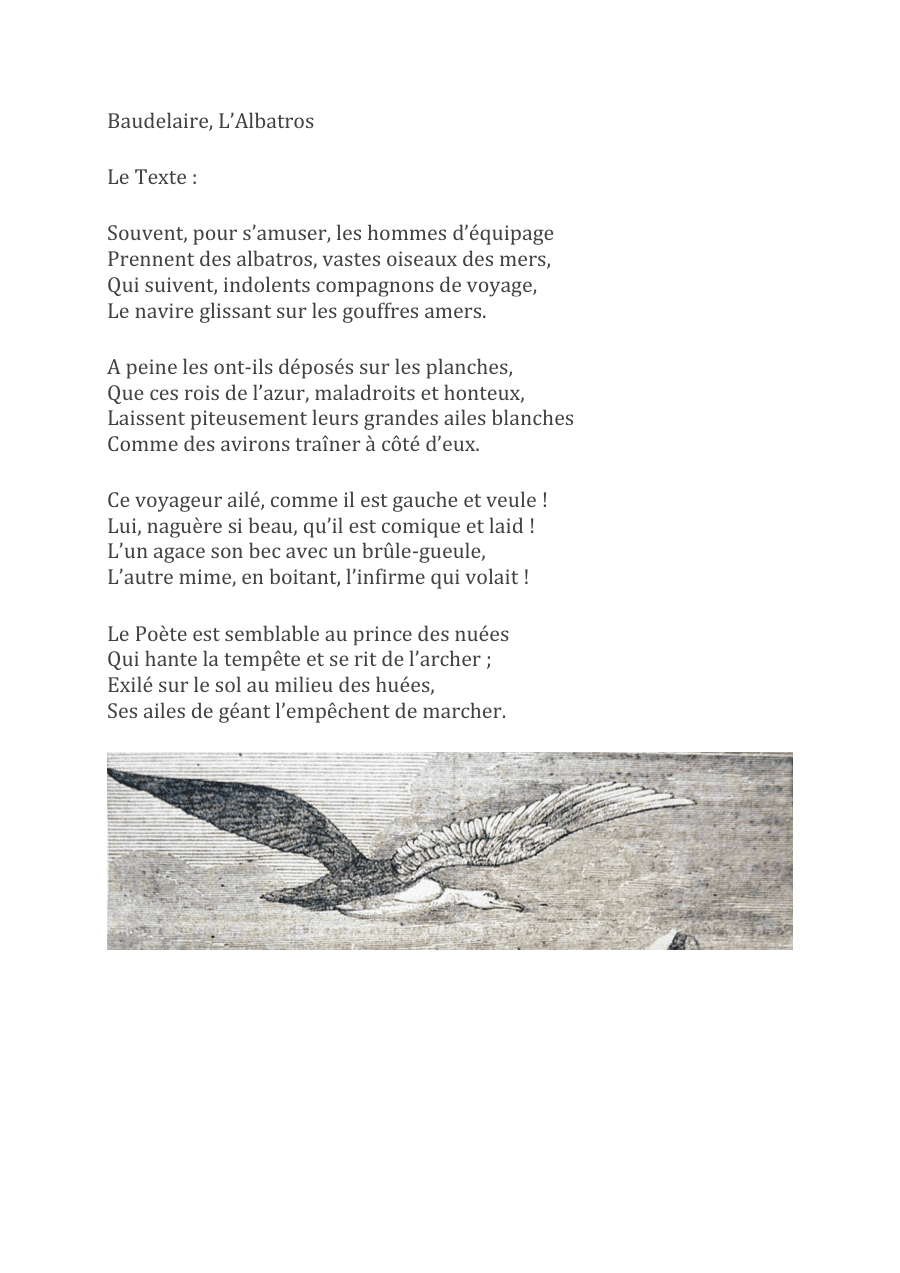 Copertina L’Albatros