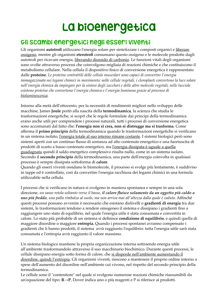 La bioenergetica