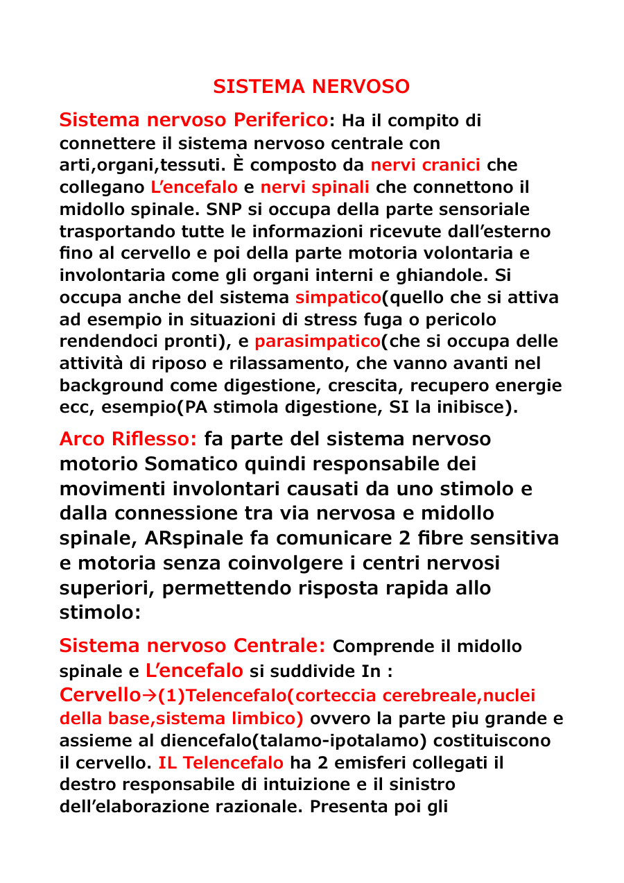 Sistema Nervoso: Struttura e Funzioni