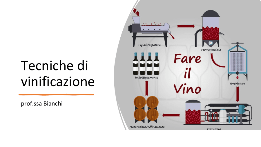 Tecniche di vinificazione