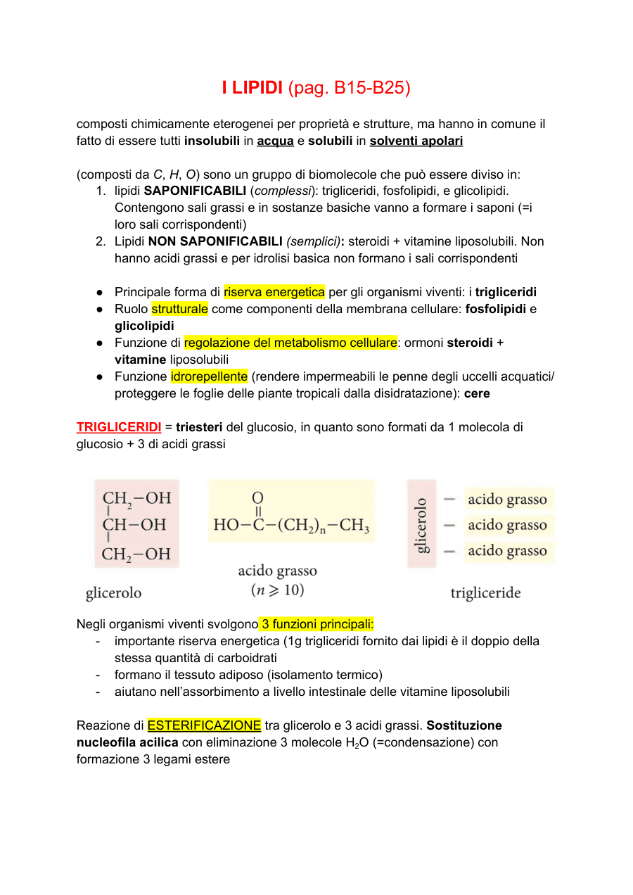 I Lipidi: classificazione e funzioni