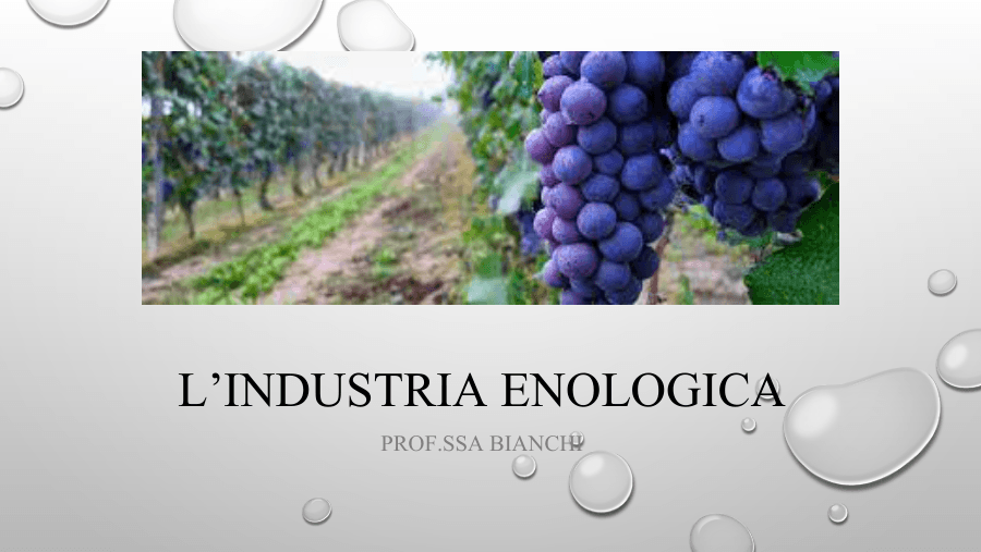 L'Industria Enologica: La Vite e l'Uva