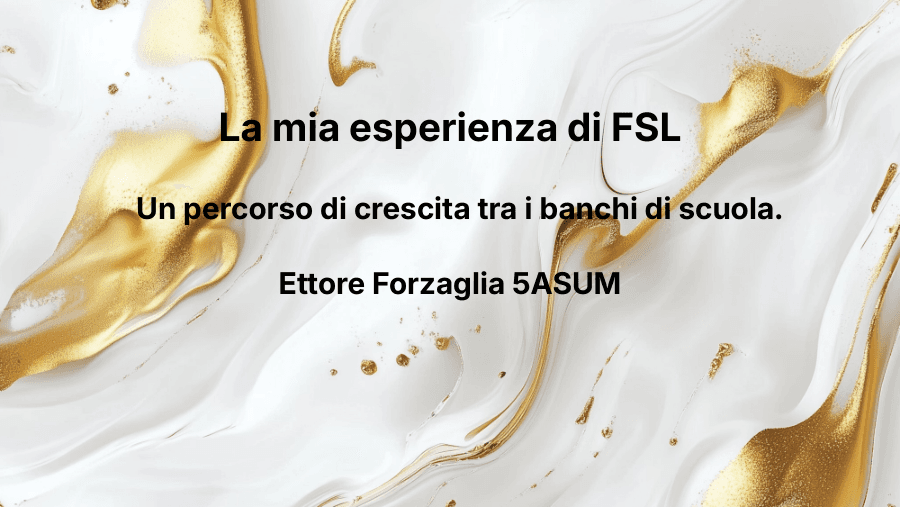 La mia esperienza di FSL
