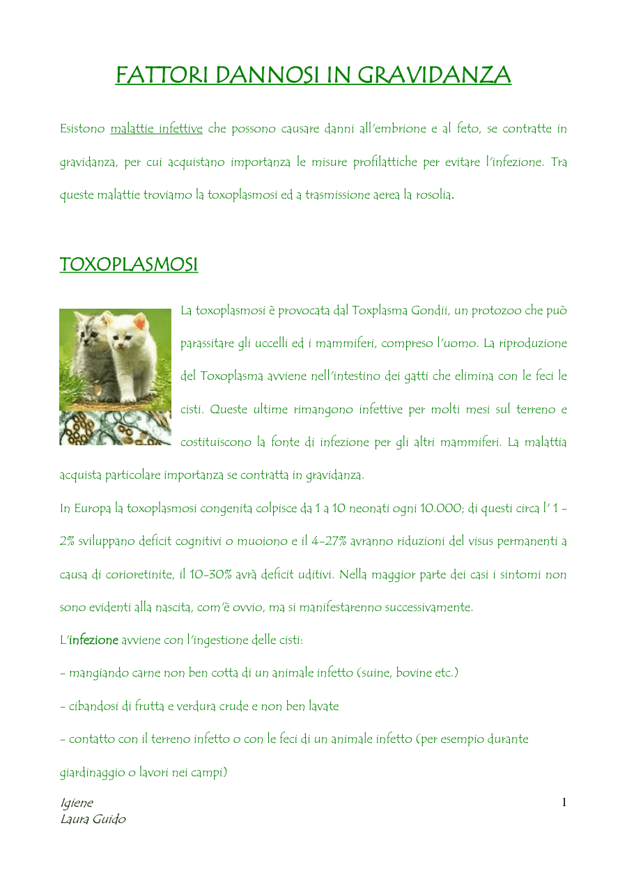 Toxoplasmosi e Rosolia in Gravidanza