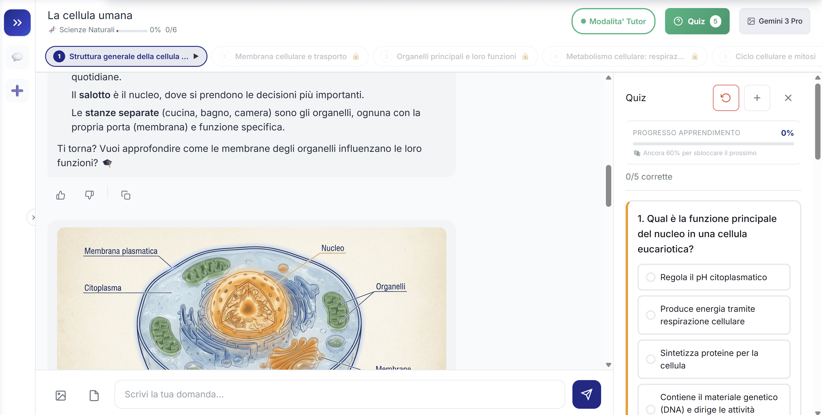 Area Studio con Tutor AI