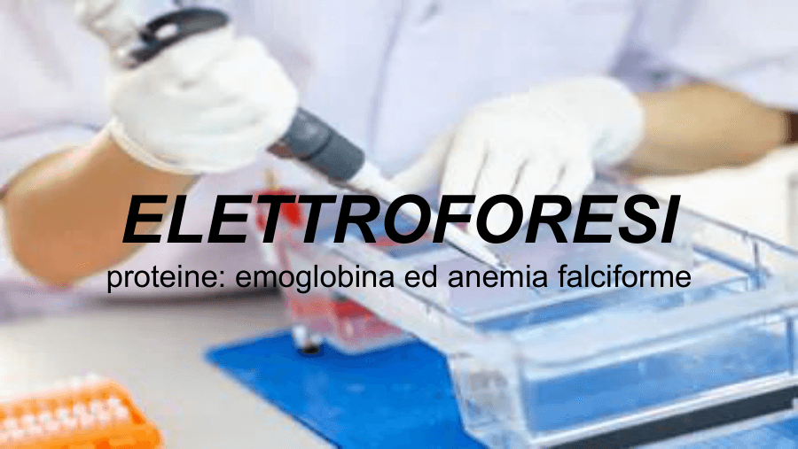 Copertina Elettroforesi e anemia falciforme