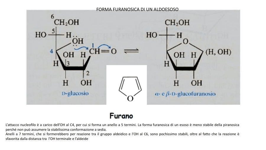 Copertina Forme furanosiche e piranosiche