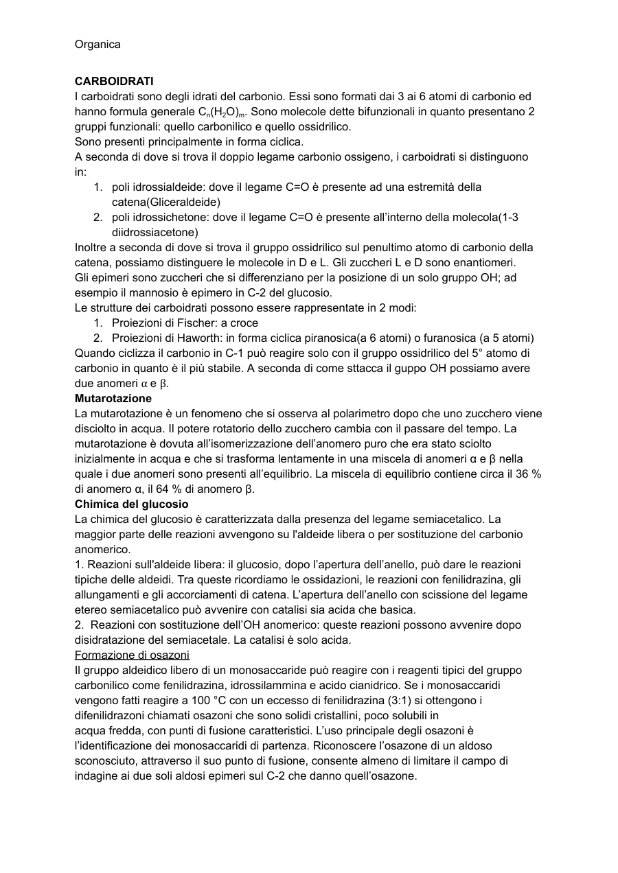 Copertina Carboidrati e respirazione cellulare