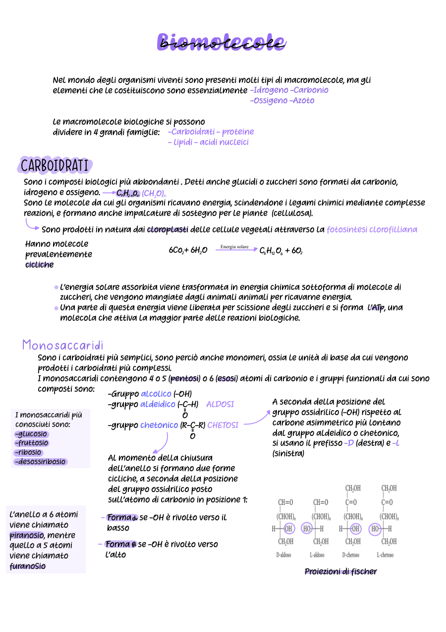 Copertina Biomolecole