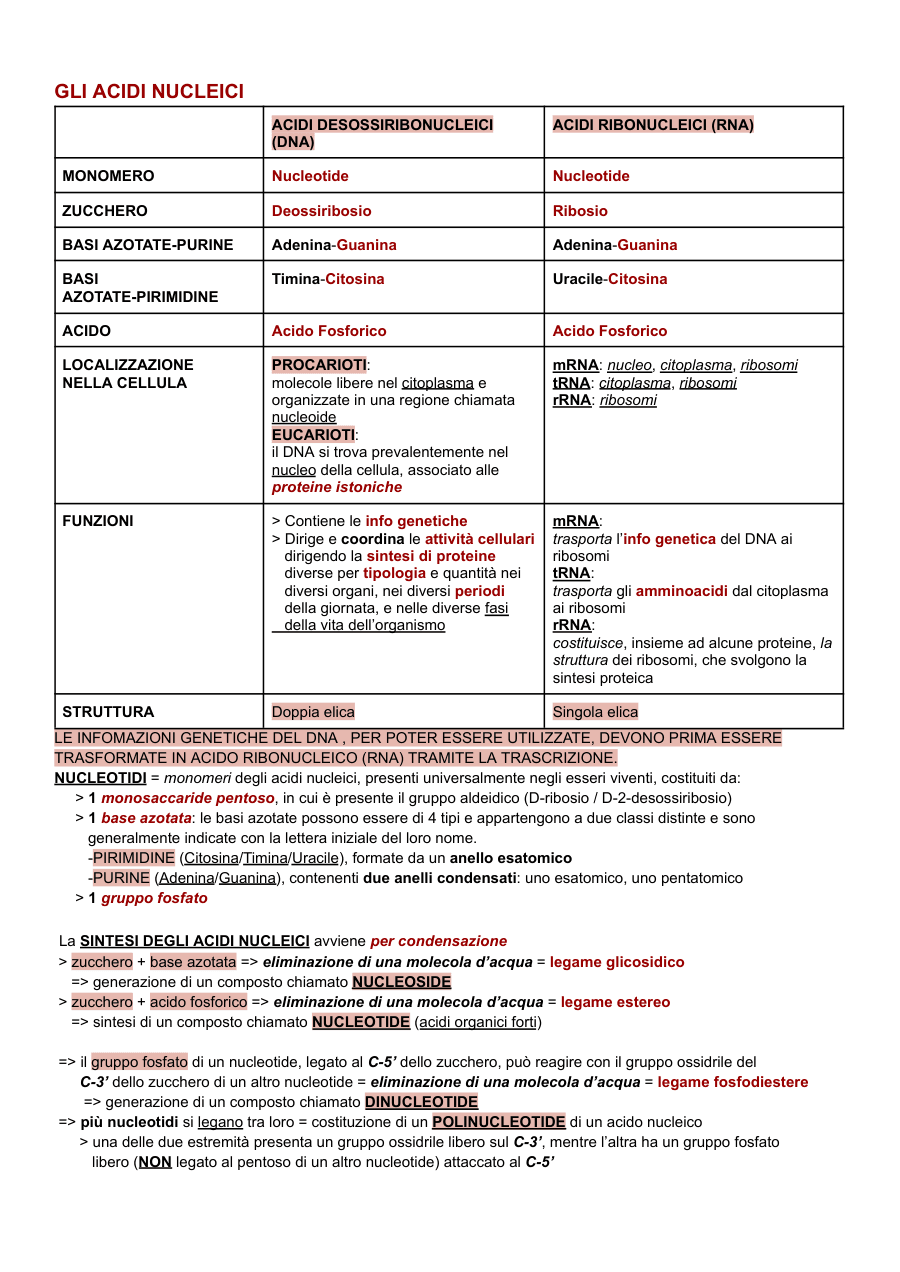 Copertina Acidi nucleici e virus