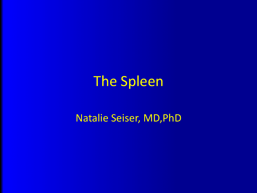 The Spleen