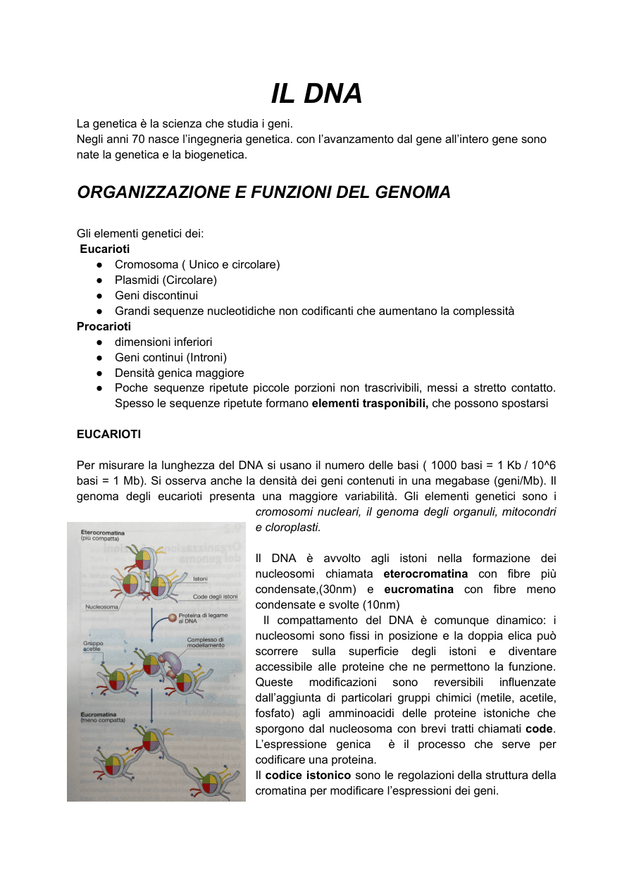 Copertina Sistema genetico dei microrganismi