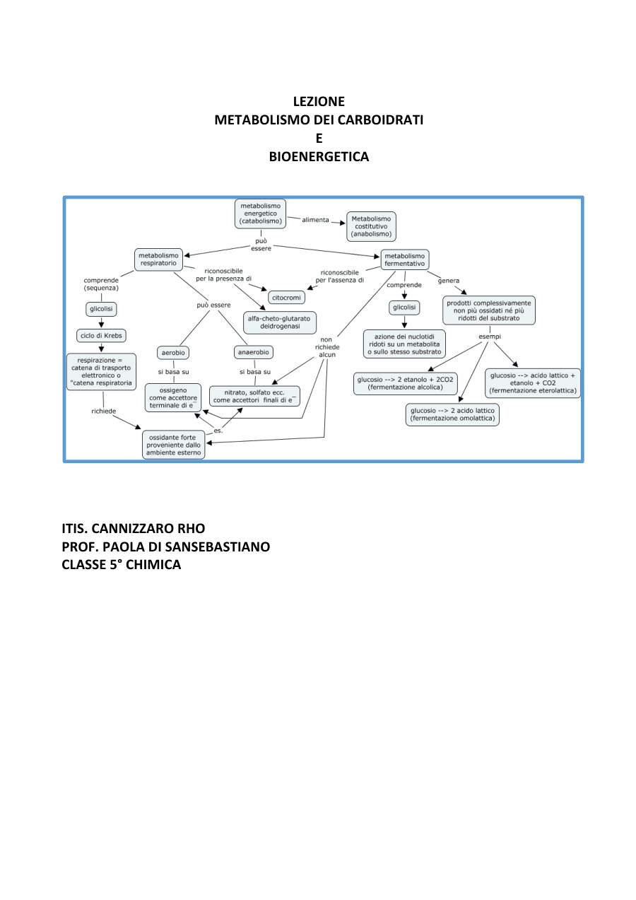 Copertina Metabolismo e bioenergetica