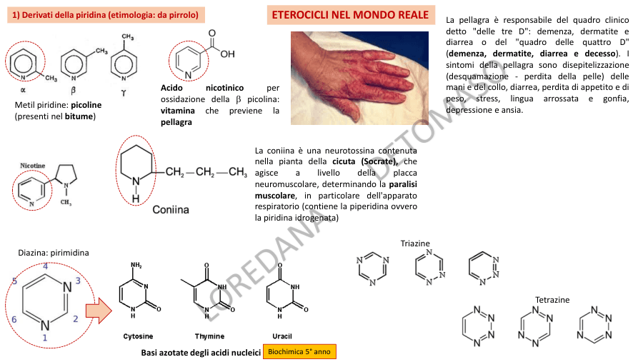 Copertina Eterocicli nel mondo reale