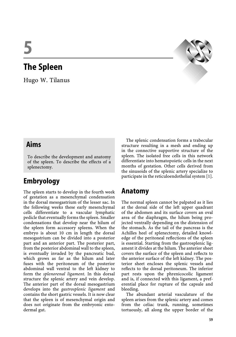 The Spleen