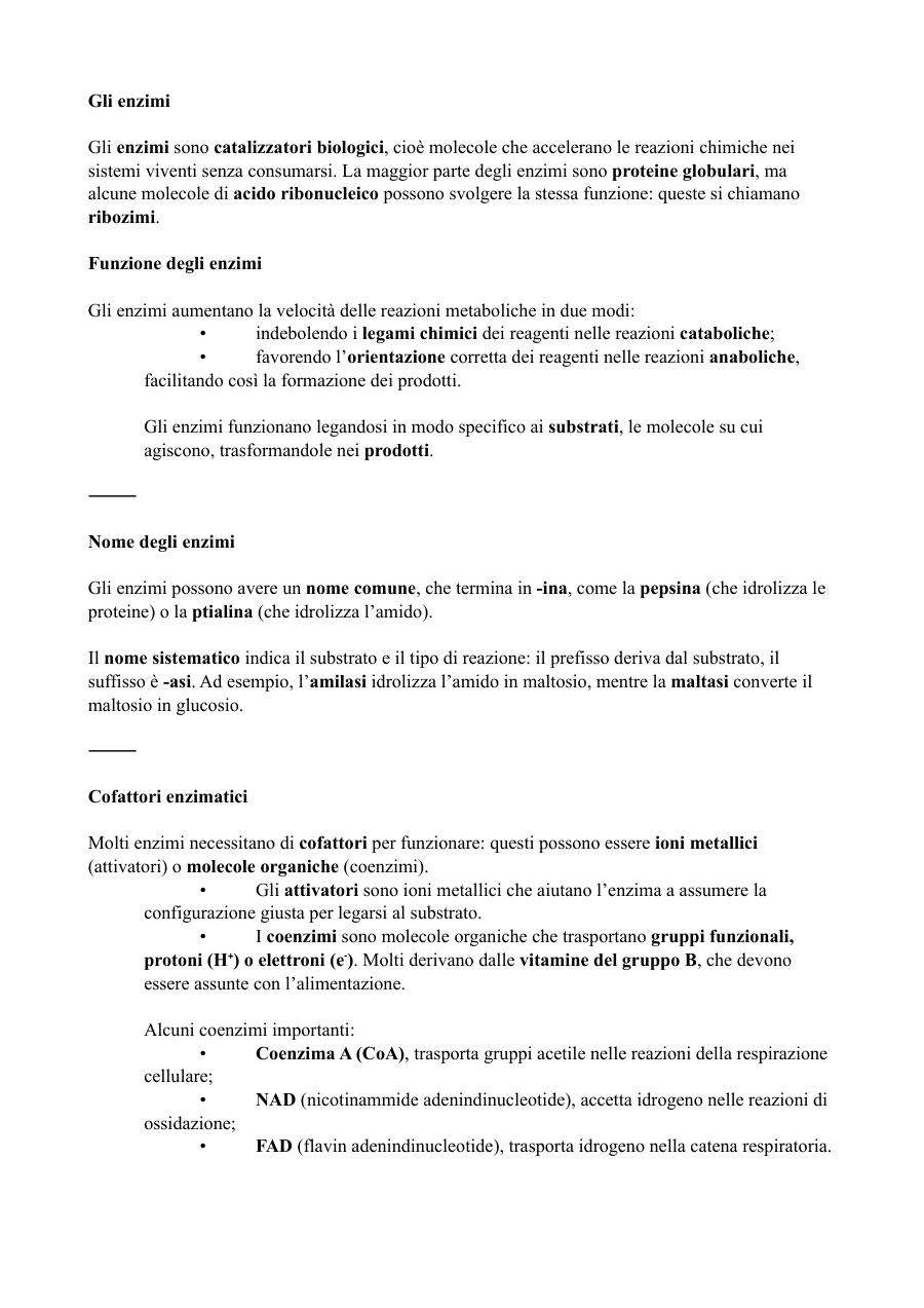 Copertina Gli enzimi