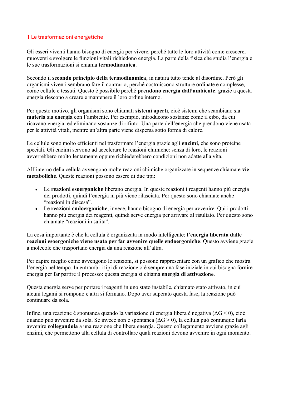 Copertina Il metabolismo energetico