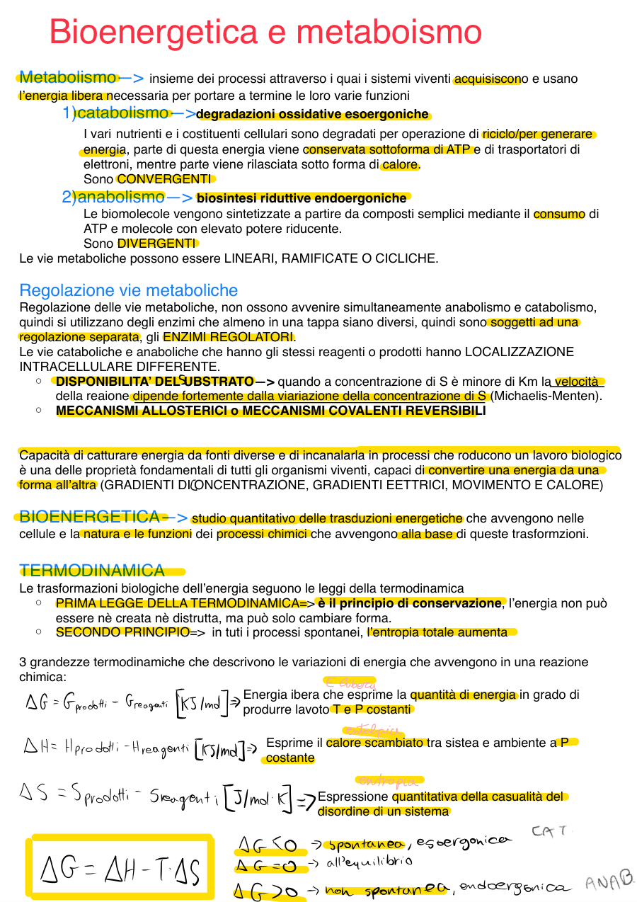Bioenergetica e metabolismo