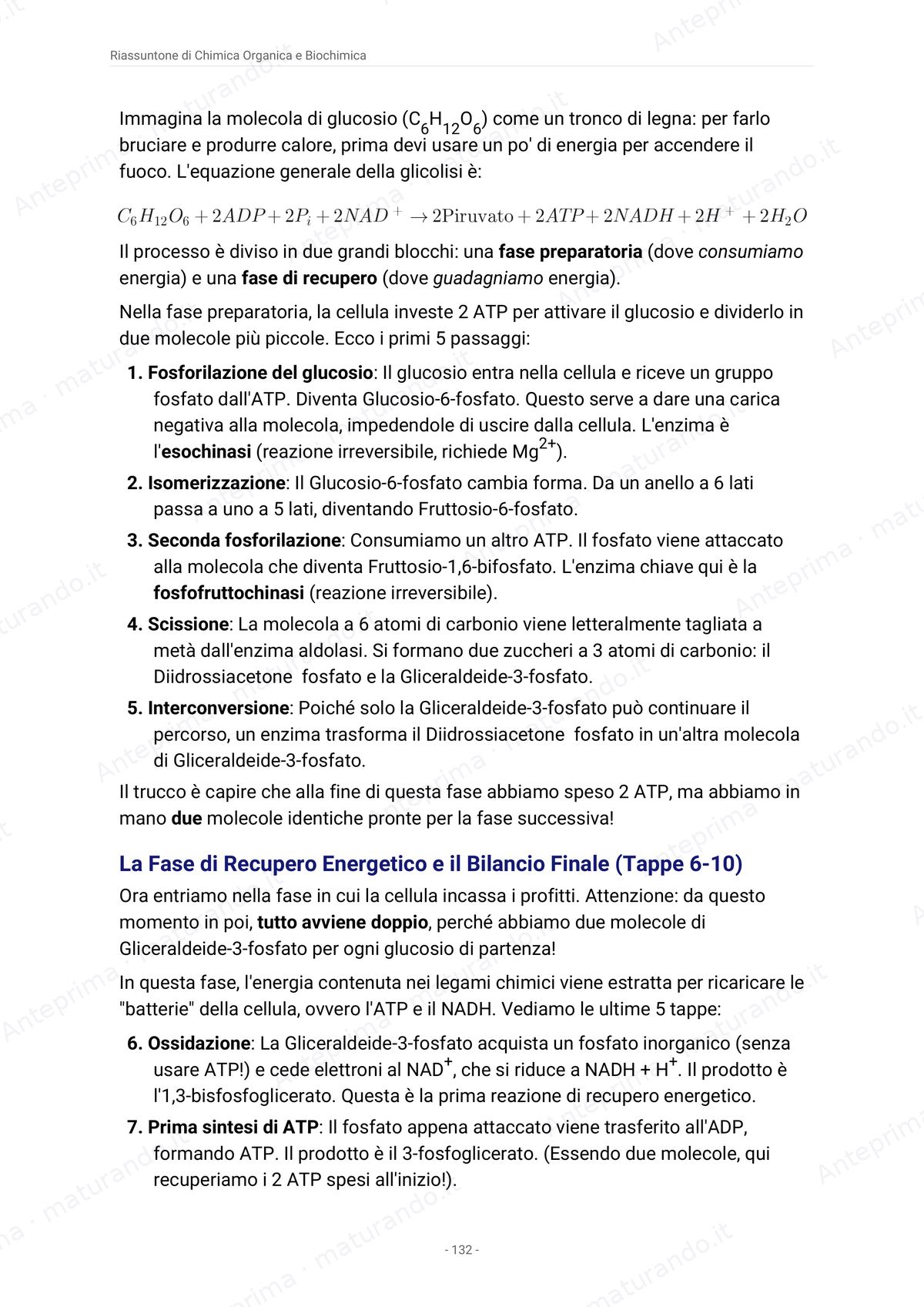 Pagina del libro
