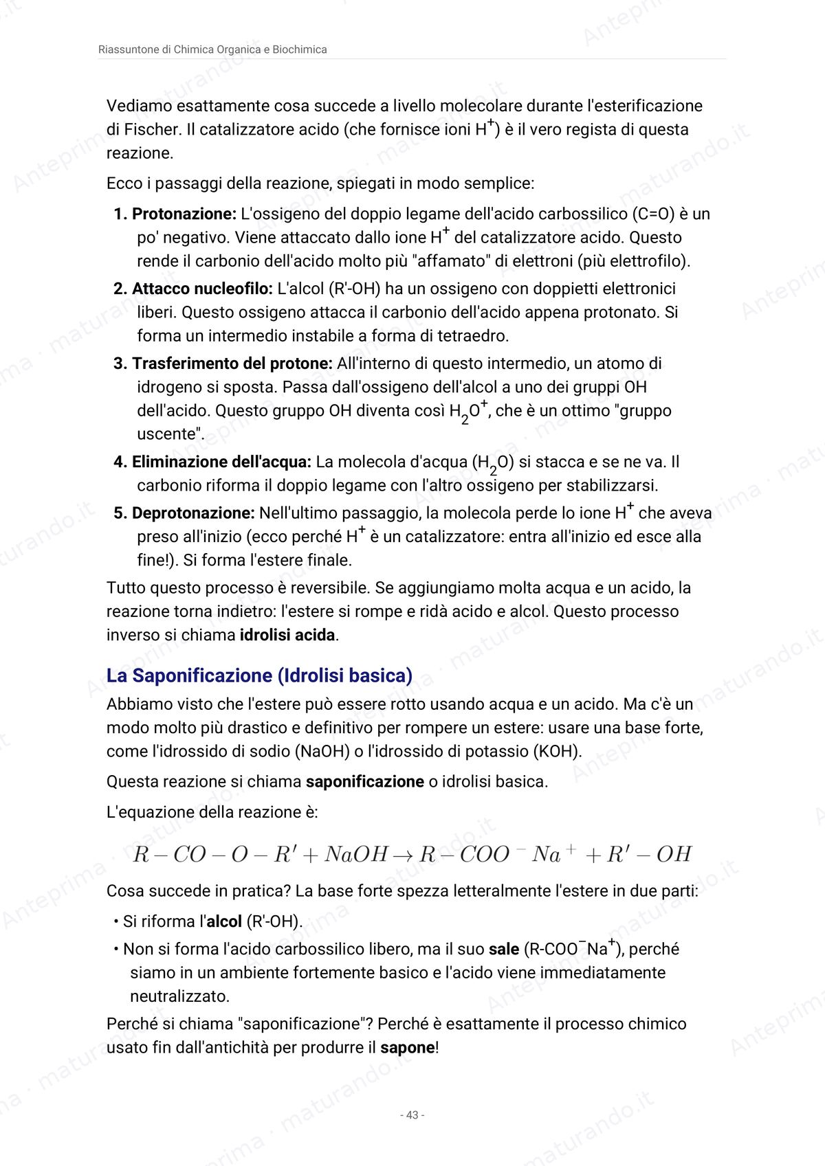 Pagina del libro
