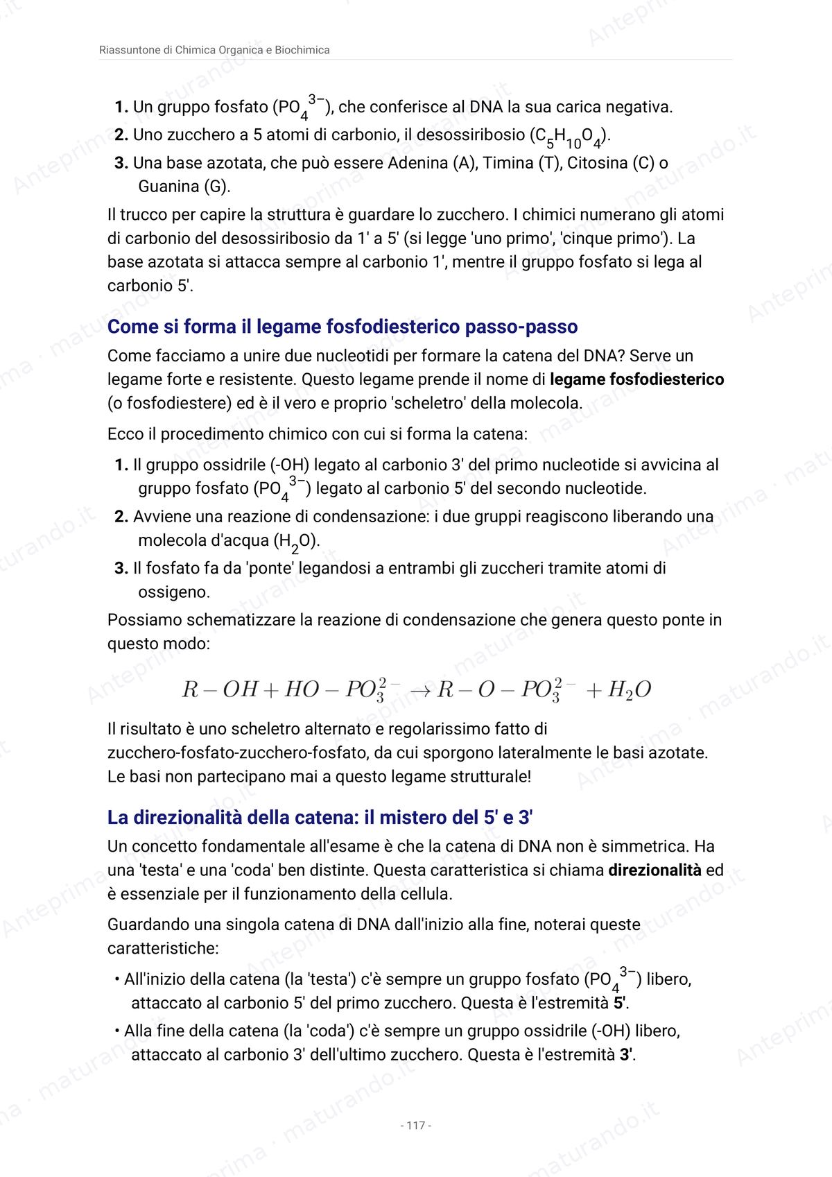 Pagina del libro