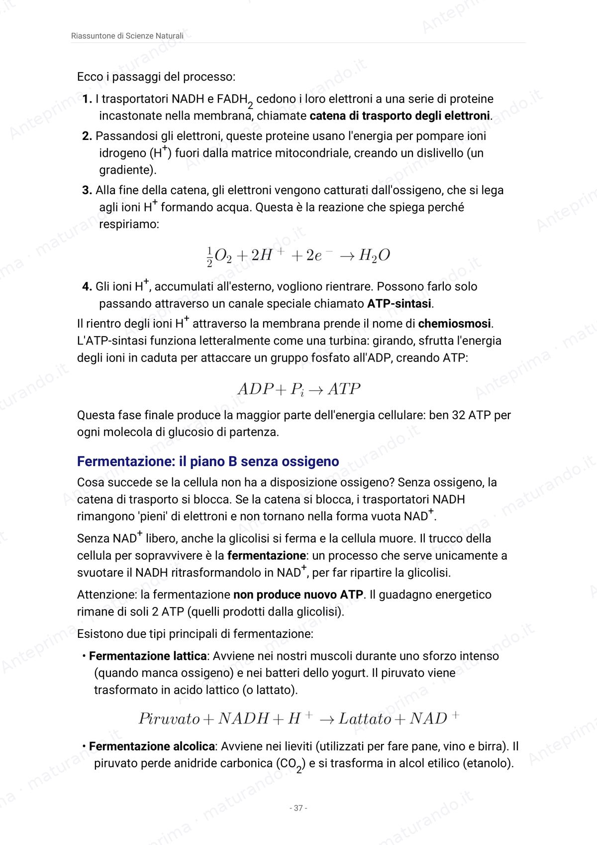 Pagina del libro